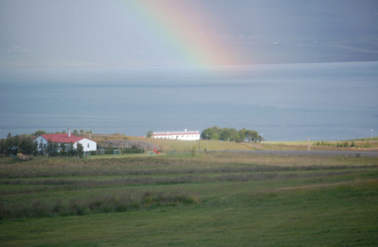 Frisco: Is he really my true Valentine? Love and PTSD.