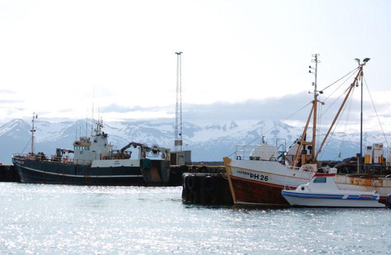 Frisco: Woman/wife/mother: PTSD + suicidal thoughts