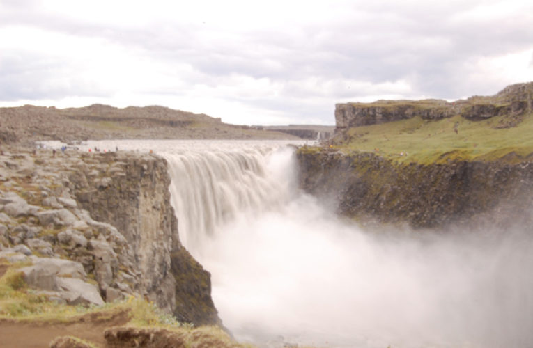 Frisco: Help! I’m a lost little amoeba in this big PTSD ecosystem